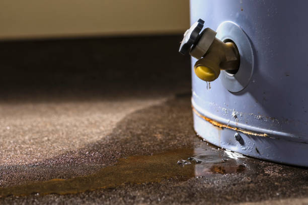 Best 24/7 water damage repair  in Fort Benton, MT