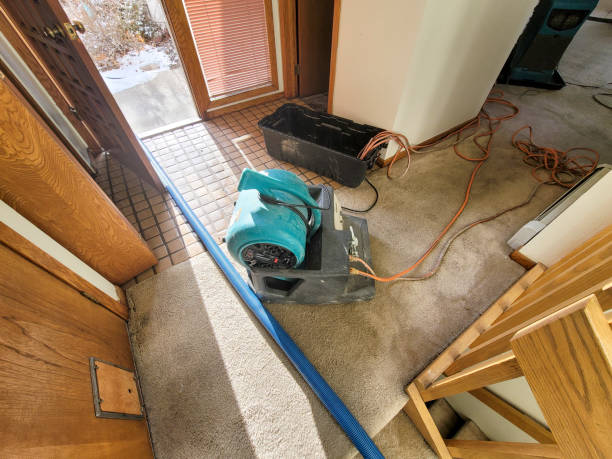 Best Ceiling water damage repair  in Fort Benton, MT