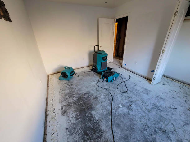Best Water damage restoration near me  in Fort Benton, MT