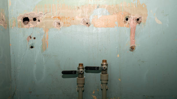 Best 24-hour water damage restoration  in Fort Benton, MT