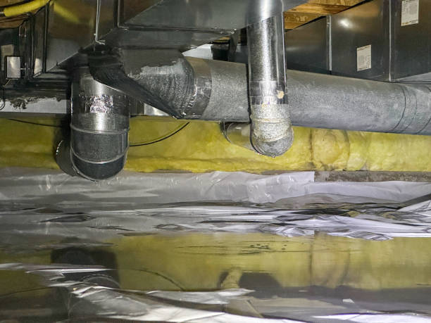 Best Mold removal after water damage  in Fort Benton, MT